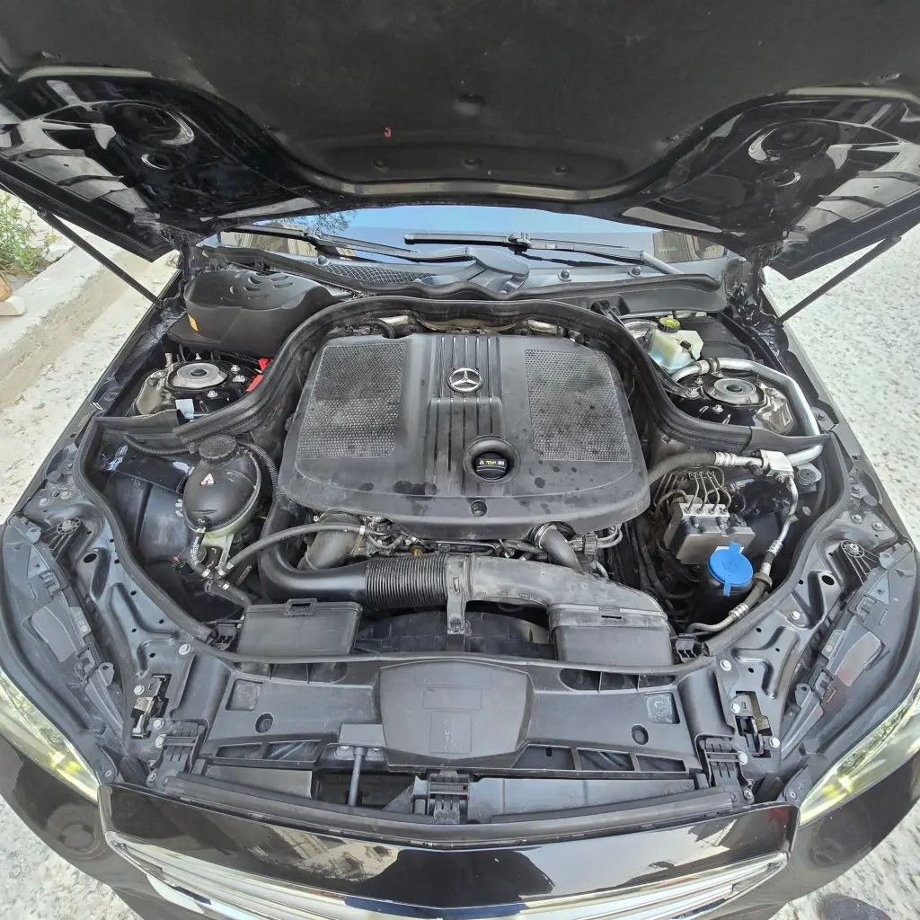 FB_IMG_1748964960716