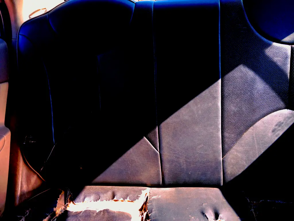 IMG_٢٠٢٥٠٦١١_١٤١٧٥٣