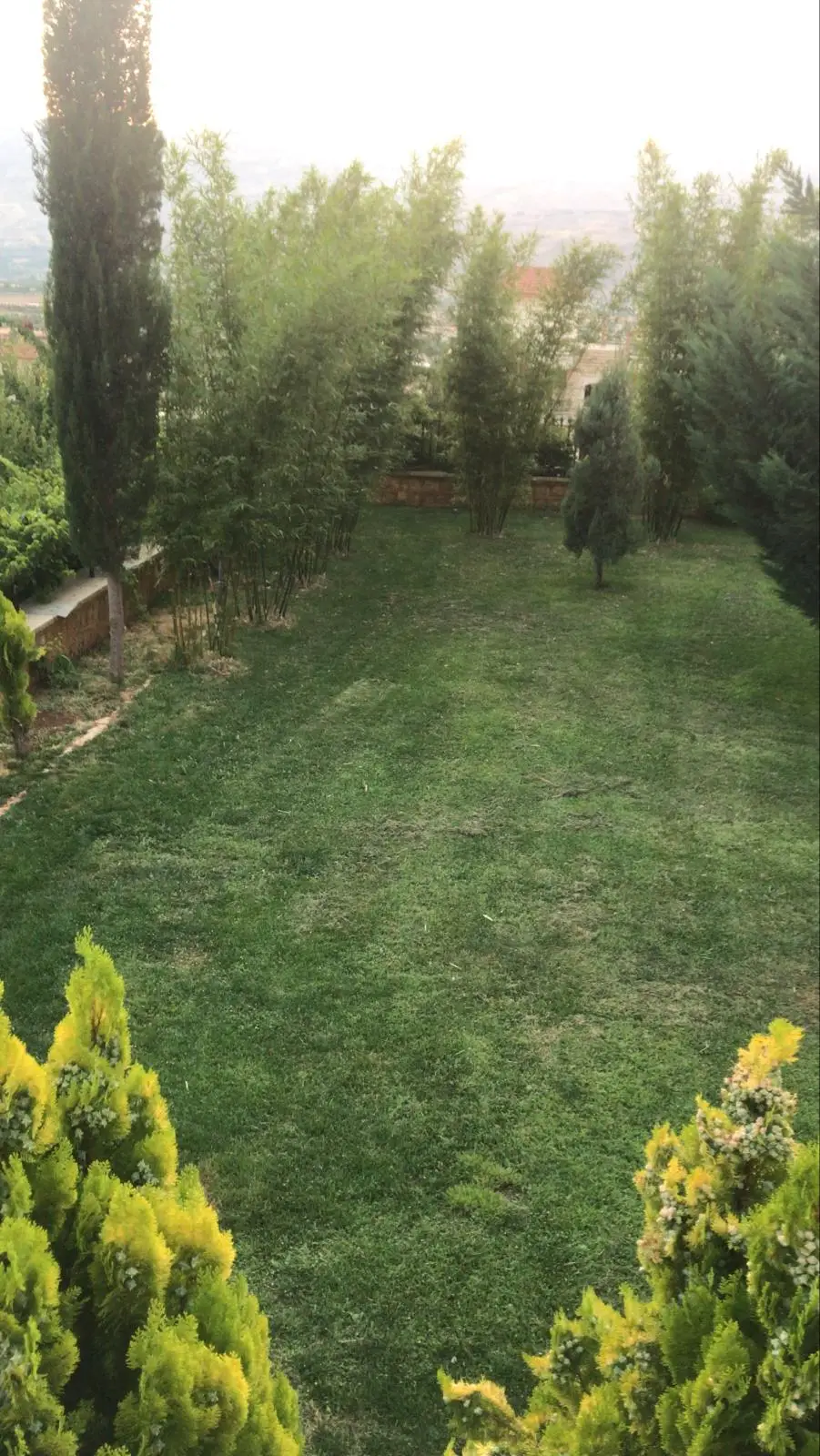 IMG-20250802-WA00181