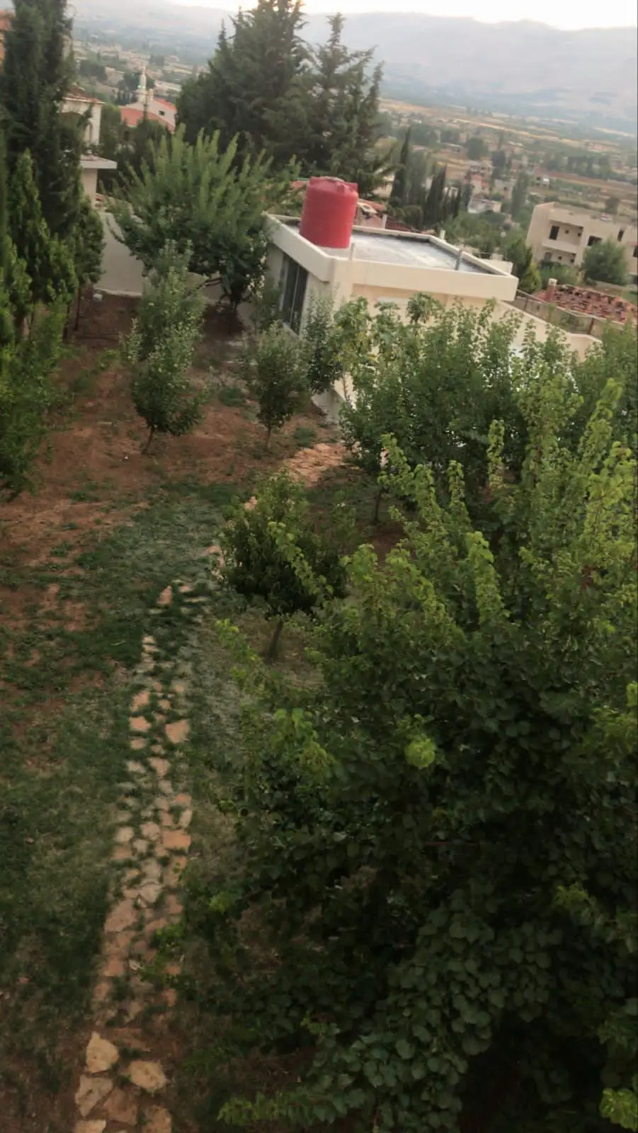 IMG-20250802-WA00191