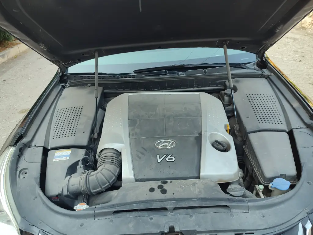 IMG_٢٠٢٥٠٨٠٦_١٧٣٠٥٠