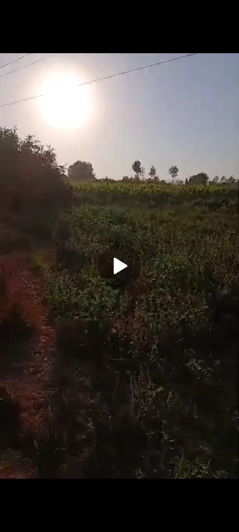 Screenshot_٢٠٢٥-٠٩-١٣-٠٧-٤١-٢٣-٧٢٧_com.whatsapp