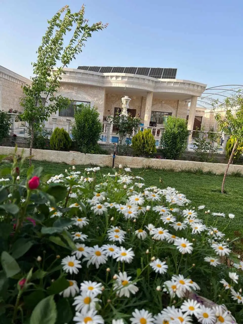 FB_IMG_1762636934396