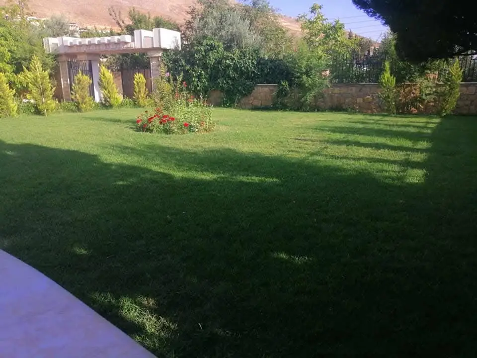 FB_IMG_1755160401563