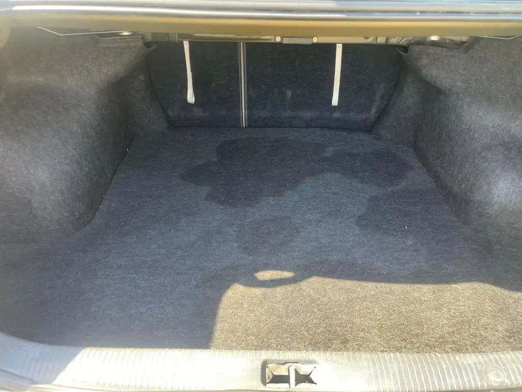 Messenger_creation_3888932E-82D2-4D9E-809F-9BA2A7573CDC