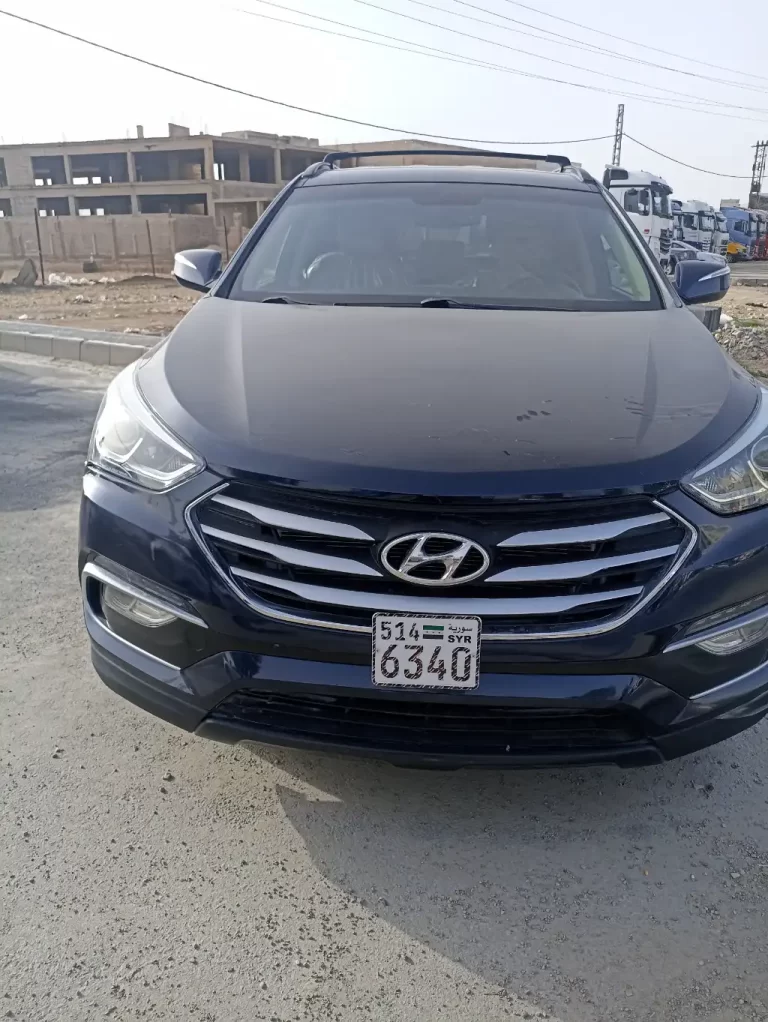 IMG_٢٠٢٥٠٥١٧_١٧٢٢٥١