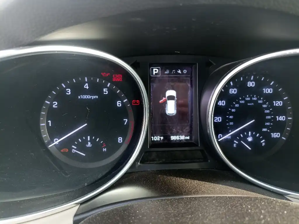 IMG_٢٠٢٥٠٥١٧_١٧٢٤٢٢