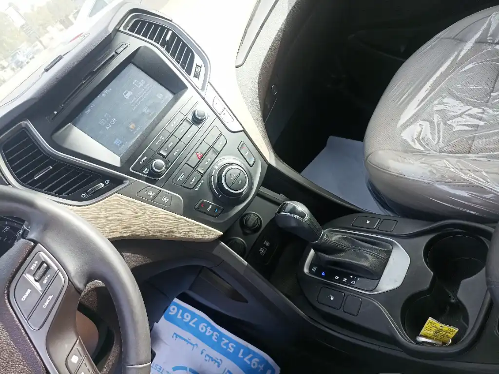 IMG_٢٠٢٥٠٥١٧_١٧٢٤٢٧