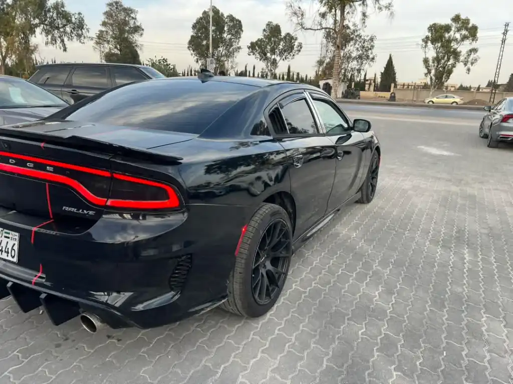 FB_IMG_1747586195104