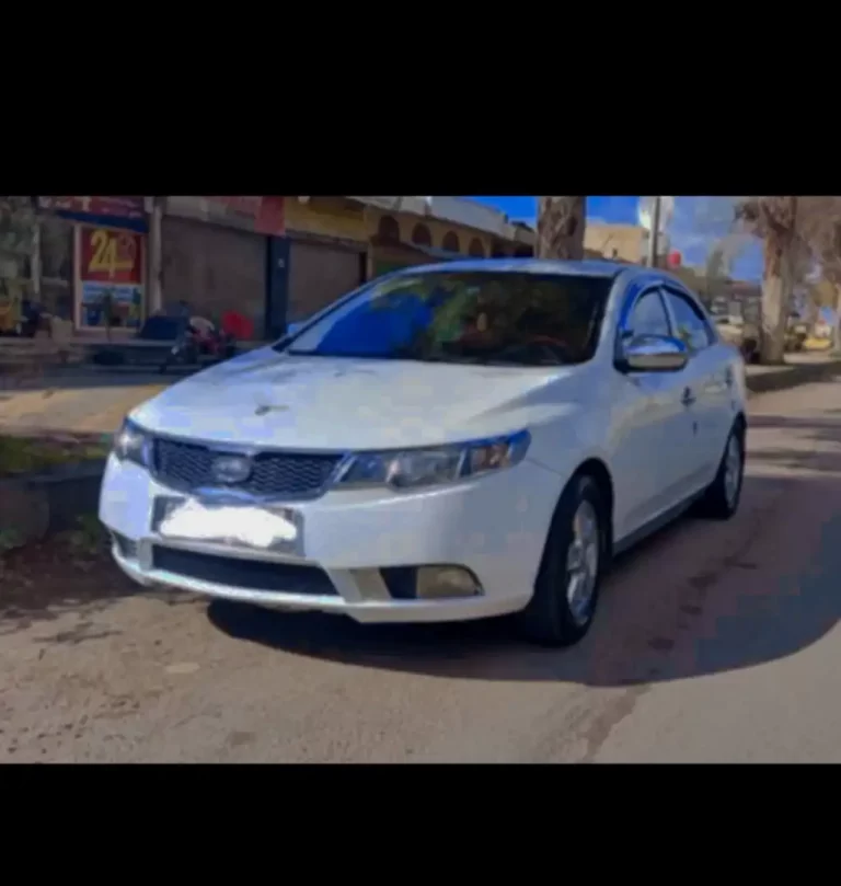 IMG_٢٠٢٥٠٥١٧_١٠١١١٣