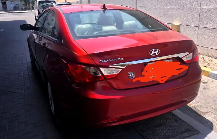 IMG_٢٠٢٥٠٦٠٤_١١١١٤٠