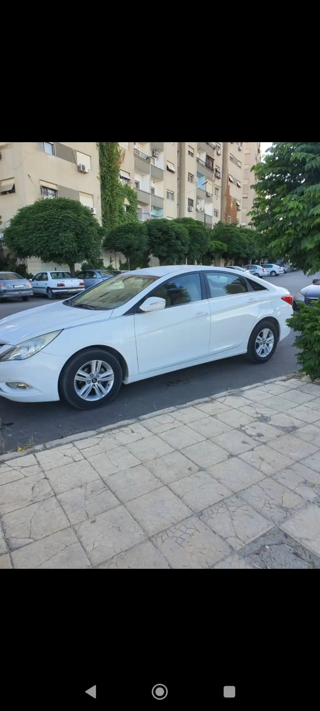 Screenshot_٢٠٢٥-٠٦-١٣-١٢-٠٠-٣٢-١٠٠_com.whatsapp