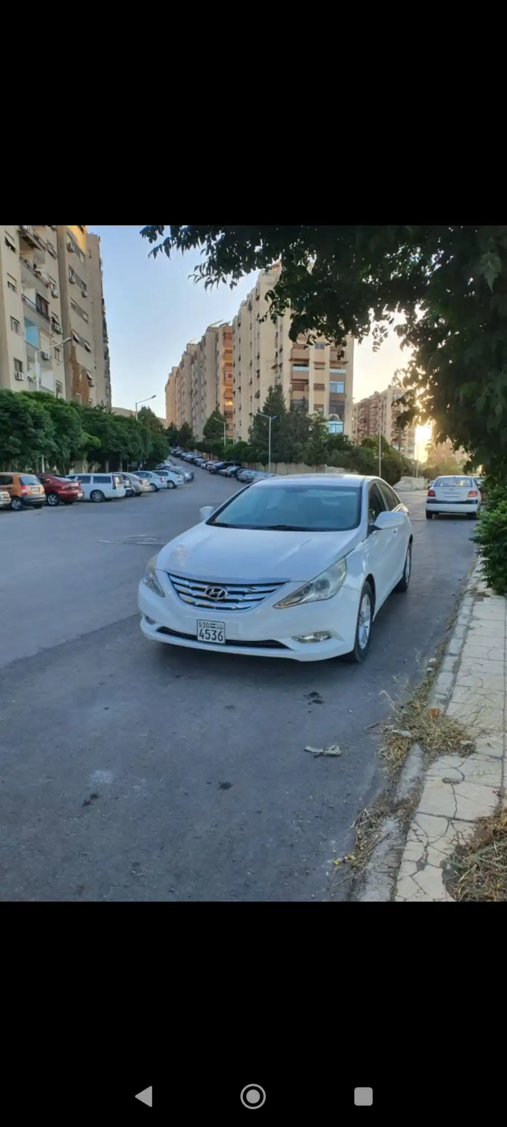 Screenshot_٢٠٢٥-٠٦-١٣-١٢-٠١-٠٦-٢٧٧_com.whatsapp