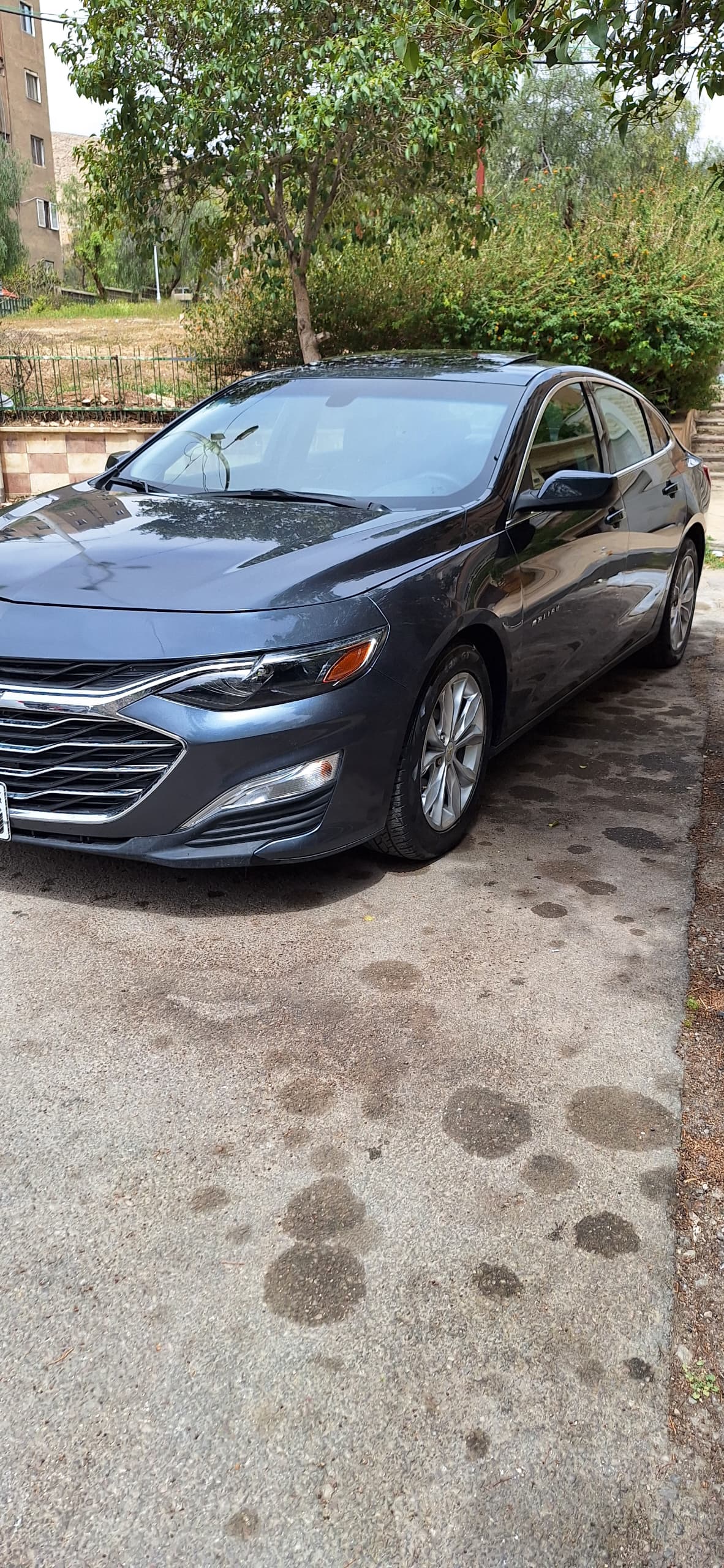 IMG-20250524-WA0025-2