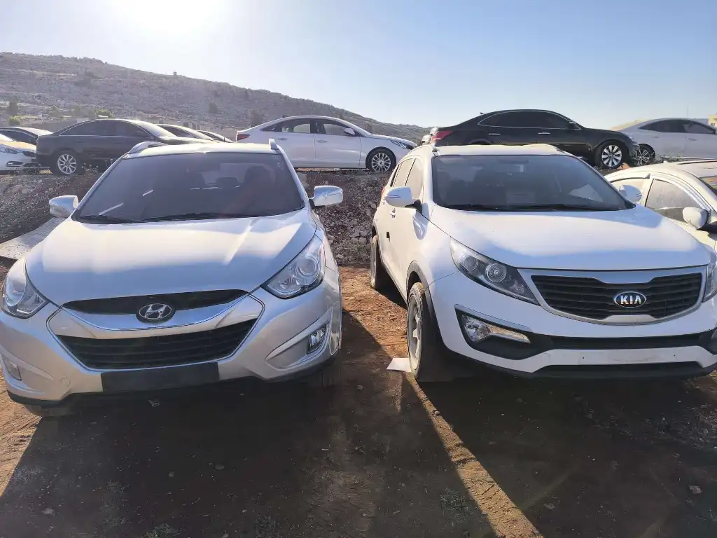 IMG-20250521-WA0014-1